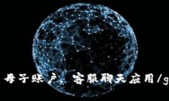 TokenIM, 母子账户, 客服聊天