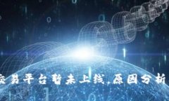 USDT钱包交易平台暂未上线