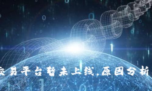 USDT钱包交易平台暂未上线,原因分析及解决方案