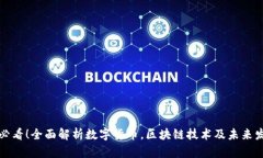 初学者必看！全面解析数