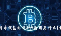 比特币钱包文件dat通用是