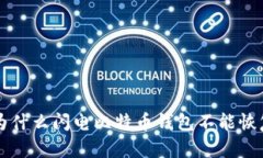 为什么闪电比特币钱包不