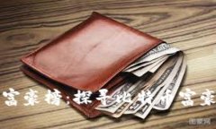 比特币钱包富豪榜：探寻